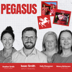 Pegasus team 2026.png