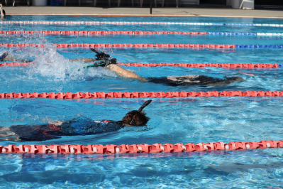 Snorkle training.png