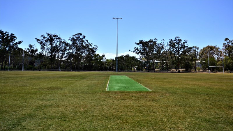 ray-frawley-cricket-pitch.jpg